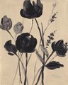 Image Not Available